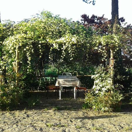 B&B Della Rosa Civitella D'Arna 외부 사진