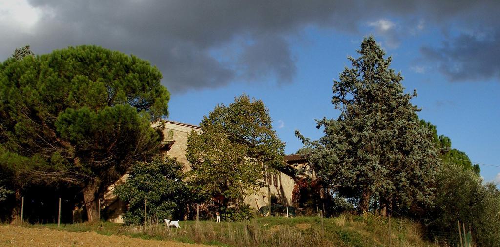B&B Della Rosa Civitella D'Arna 외부 사진