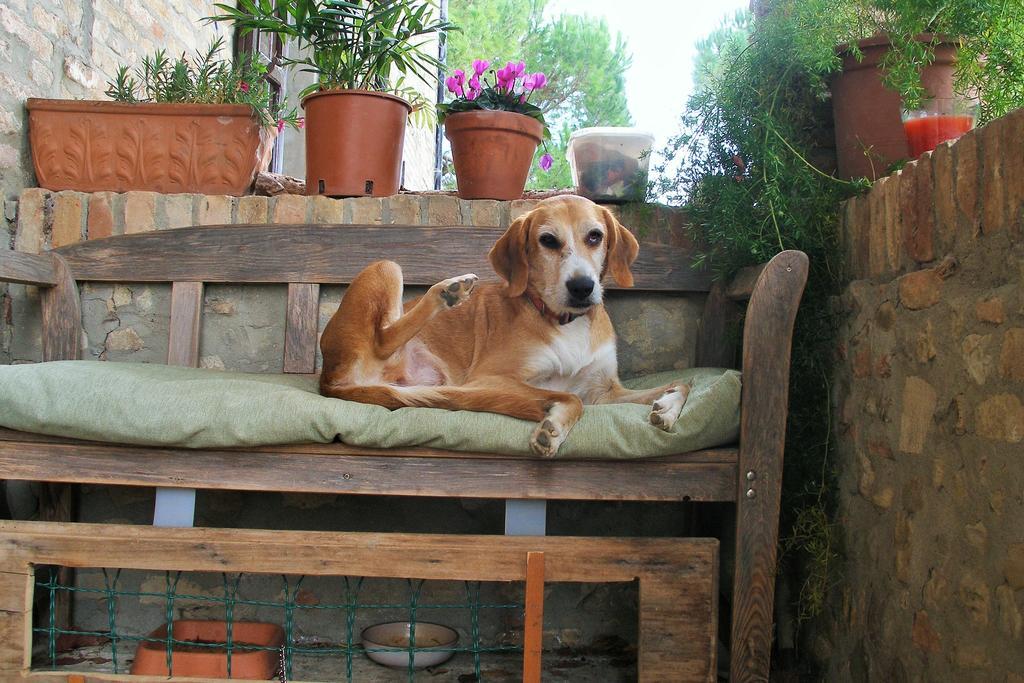 B&B Della Rosa Civitella D'Arna 외부 사진