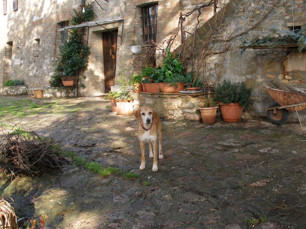 B&B Della Rosa Civitella D'Arna 외부 사진