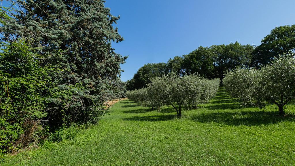 B&B Della Rosa Civitella D'Arna 외부 사진